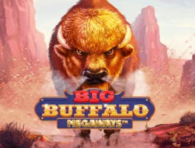 game logo by Skywind Group on mr-pachocasino.pl