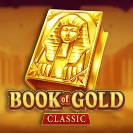 game logo by Playson on mr-pachocasino.pl