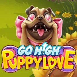 game logo by RubyPlay on mr-pachocasino.pl